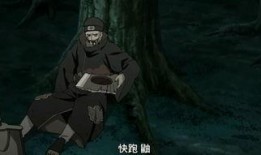 晓鼬技能爆料视频大全最新,揭秘最新爆料视频中的绝技亮点