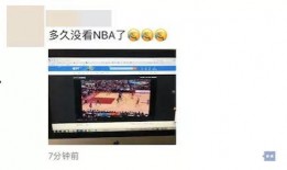 新西兰华人爆料视频最新,揭露当地生活真相与困境