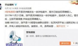 广东饶平爆料事件最新,真相与争议交织的舆情漩涡