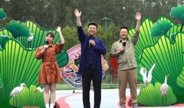 大连交大夜市爆料视频最新,美食云集，夜生活新地标揭秘