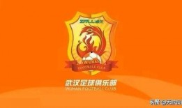 武汉长江爆料最新消息视频,揭秘视频背后的惊人真相