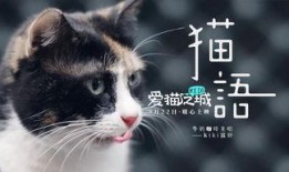 猫之城最新爆料视频大全,最新爆料视频大盘点