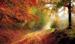 金秋最新爆料,揭秘娱乐圈最新热点事件